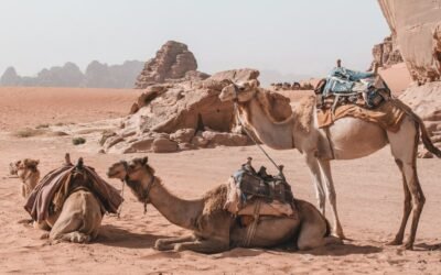 The Star, the Wise Men and Herod