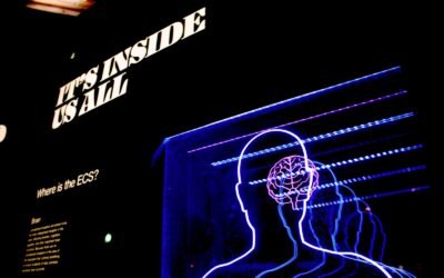 NEUROWEAPONS